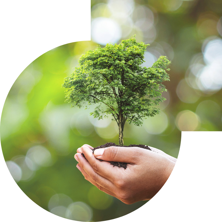 关怀人类、文化、环境与社会